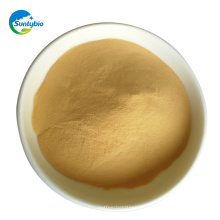 Animal Feed Additive Yeast Manufacturer Yeast Extract From Alibaba